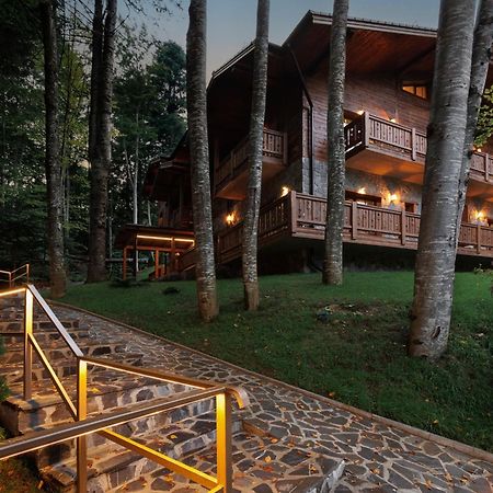Chalet Royal Синая Экстерьер фото